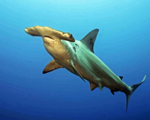 Hammerhead Shark 5D Diamond Painting