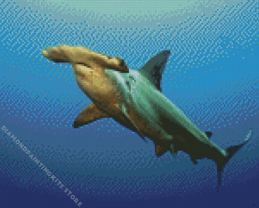 Hammerhead Shark 5D Diamond Painting