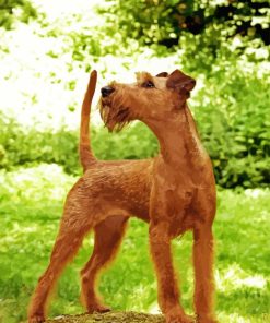 Irish Terrier 5D Diamond Painting