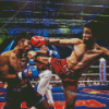 Muay Thai 5D Diamond Painting