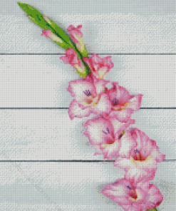 Pink Gladiolus 5D Diamond Painting