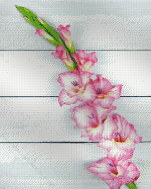 Pink Gladiolus 5D Diamond Painting