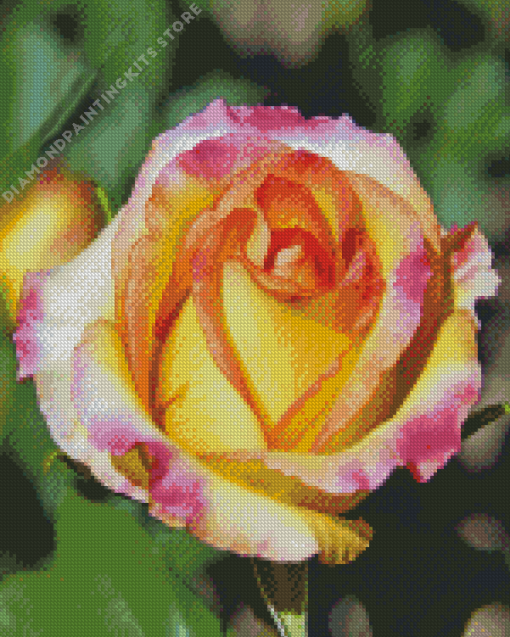 Colorful Rosa Peace 5D Diamond Painting