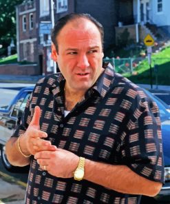 Tony Soprano 5D Diamond Painting