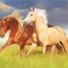 Brown And Blonde Stallion Horses 5D Diamond Painting