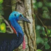 Cassowary 5D Diamond Painting