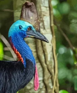 Cassowary 5D Diamond Painting