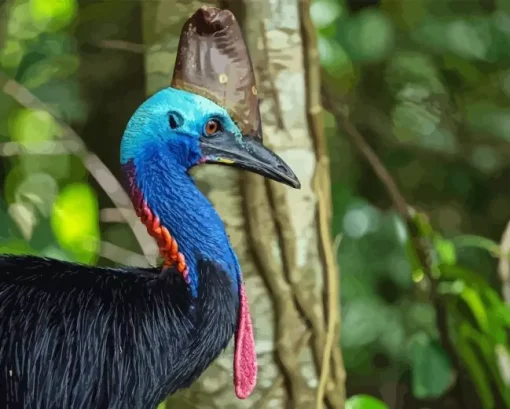 Cassowary 5D Diamond Painting