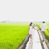 Couple In Sekinchan Padi Fields 5D Diamond Painting