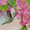 Hummingbird And Pink Flowers 5D Diamond Painting