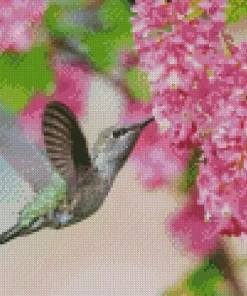 Hummingbird And Pink Flowers 5D Diamond Painting