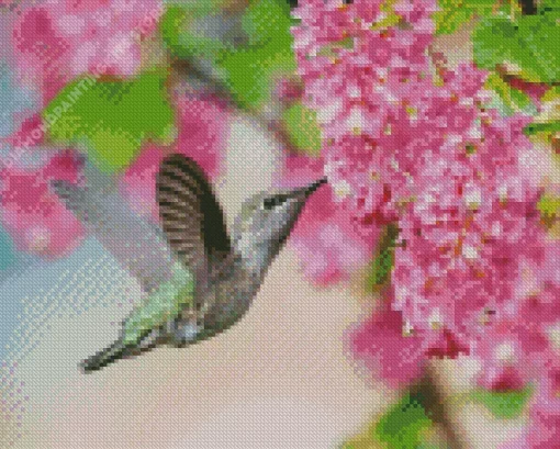 Hummingbird And Pink Flowers 5D Diamond Painting