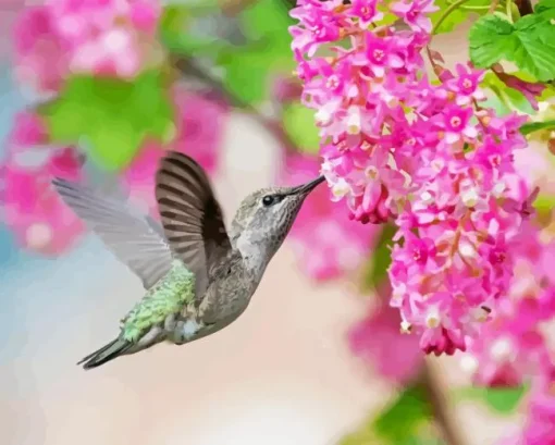 Hummingbird And Pink Flowers 5D Diamond Painting