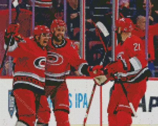 Hurricanes Hokey 5D Diamond Painting