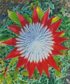 King Protea 5D Diamond Painting