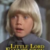 Little Lord Fauntleroy American Film 5D Diamond Painting