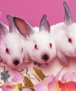 Pink Bunnies 5D Diamond Painting