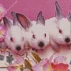 Pink Bunnies 5D Diamond Painting