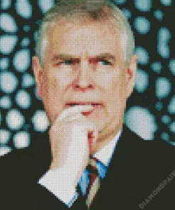 Prince Andrew 5D Diamond Painting