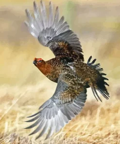 Red Grouse 5D Diamond Painting