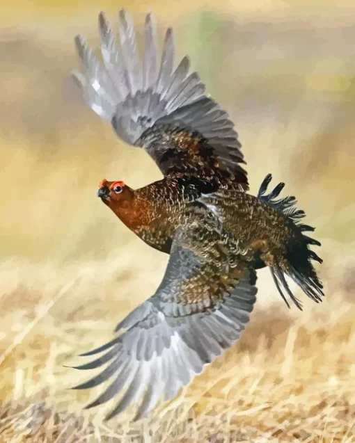 Red Grouse 5D Diamond Painting