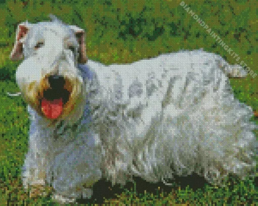 Sealyham Dog 5D Diamond Painting