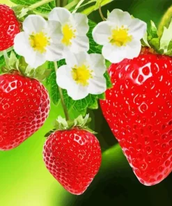 Strawberries Garden And Flowers 5D Diamond Painting