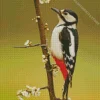 The Great Spotted Woodpecker 5D Diamond Painting