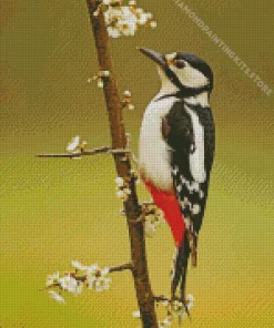 The Great Spotted Woodpecker 5D Diamond Painting