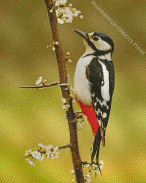 The Great Spotted Woodpecker 5D Diamond Painting