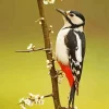 The Great Spotted Woodpecker 5D Diamond Painting