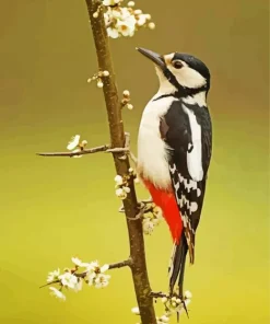 The Great Spotted Woodpecker 5D Diamond Painting