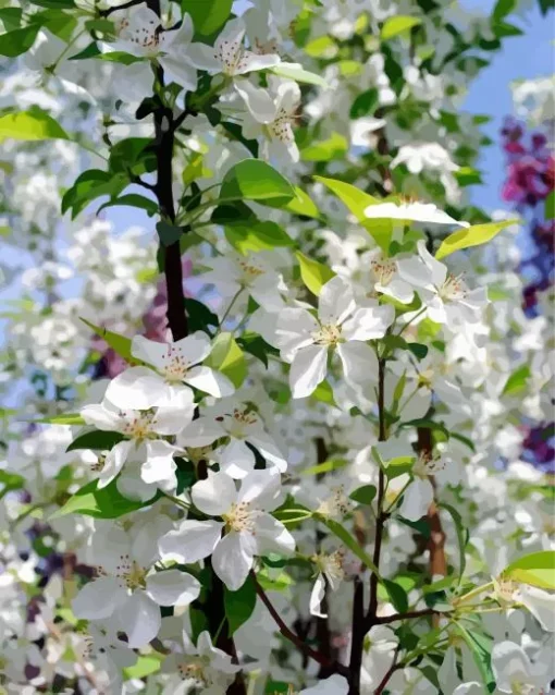 White Crabapple 5D Diamond Painting