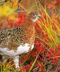 Willow Ptarmigan 5D Diamond Painting