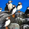 Abstract Puffins On Rocks 5D Diamond Painting