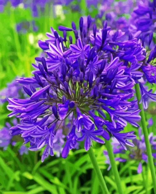 Agapanthus 5D Diamond Painting