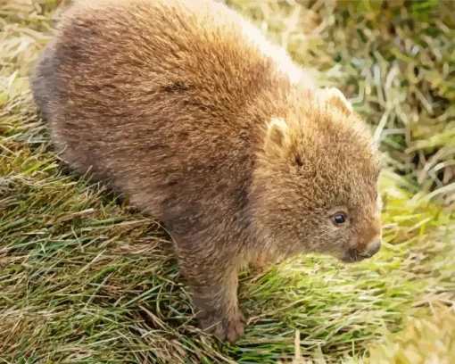 Baby Wombat 5D Diamond Painting