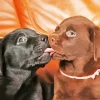 Black Vs Chocolate Lab Kissing 5D Diamond Painting