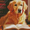 Blonde Labrador Reading Book 5D Diamond Painting