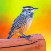 Cactus Wren 5D Diamond Painting