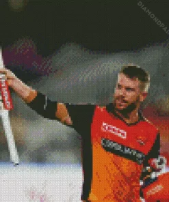 David Warner 5D Diamond Painting