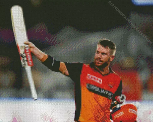 David Warner 5D Diamond Painting