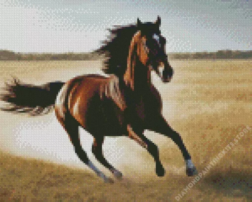 Galloping Horse 5D Diamond Painting