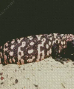 Gila Monster 5D Diamond Painting