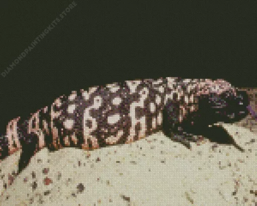 Gila Monster 5D Diamond Painting