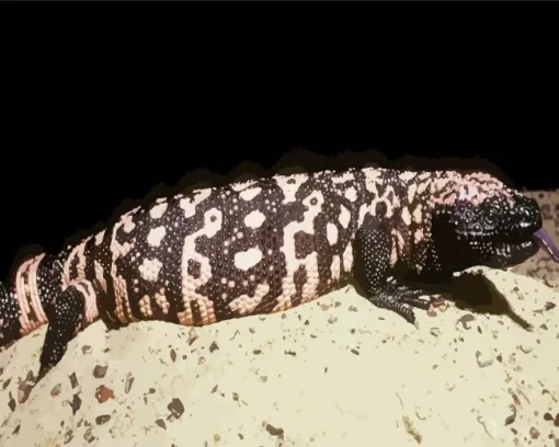 Gila Monster 5D Diamond Painting