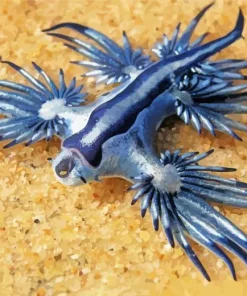 Glaucus Atlanticus 5D Diamond Painting