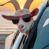 Goat With Sunglasses 5D Diamond Painting