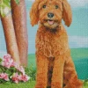 Goldendoodle Red Art 5D Diamond Painting