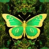 Green Butterfly 5D Diamond Painting